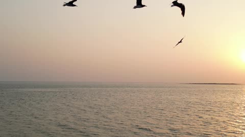 Bird's eye view of the sea