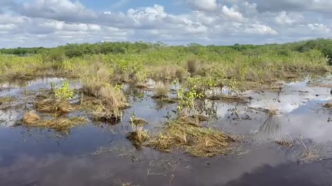 Everglades airboat ride 2022