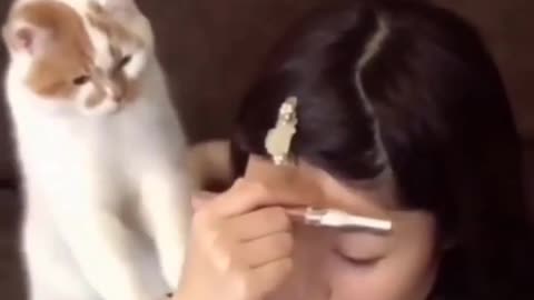 Cat give slap slap jealous to her owner beauty