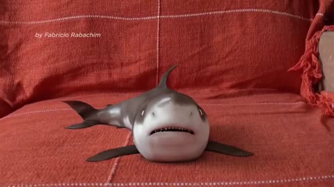 Cute Baby Shark Funny Baby Shark - Cute Animal Video