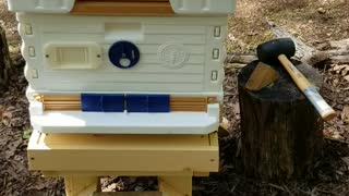 Apimaye Beehive Getting the House ready for the new residents