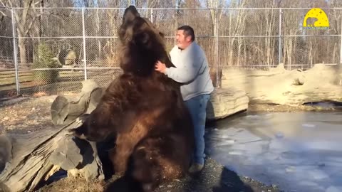 Emotional Animals Reunited With Owners After Years!