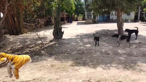 Wow Nice!!! Fake Tiger Prank Dog Run So Funny Video Pranks 2021🤣🤣😎