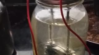 First reaction experiment