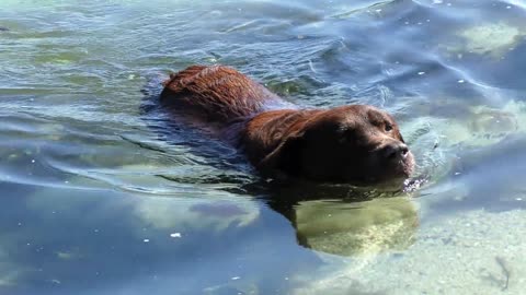 Enjoy swimming Relaxes