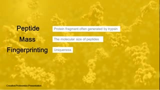 Peptide Mass Fingerprinting