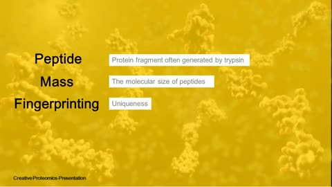 Peptide Mass Fingerprinting