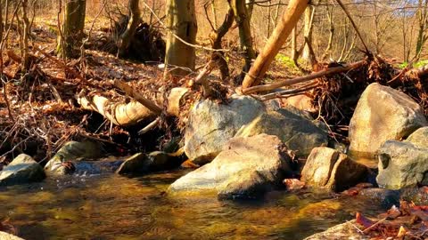 The Healing Stream: Water Sounds | White Noise Stream | Water Sounds For Sleeping | Study With Me