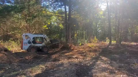 Clearing the future pathway for our powerline.