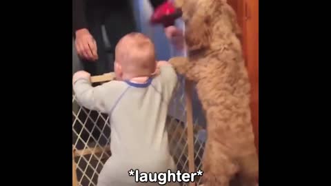 Babies and Funny animals 2021 - Doing Funny Things