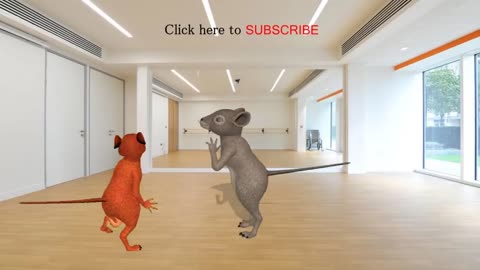 Funny Rat Dance 2021