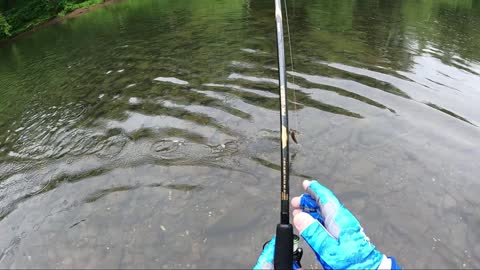 Fishing in the Pouring Rain