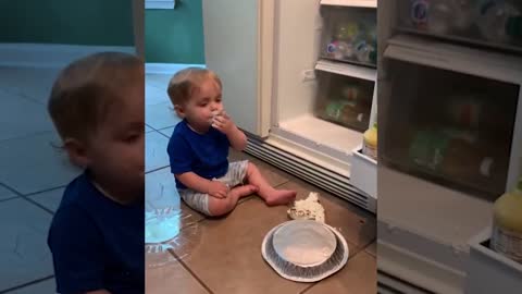 What Happens When Baby Open The Fridge | Funny baby video