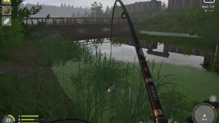 Russian Fishing 4 Old Burg Lake Grass Crap 5.448 Kg