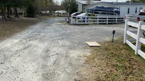 Driver dumps Fedex package on road