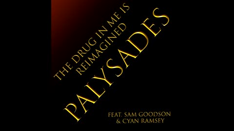 Palysades - The Drug in me is you