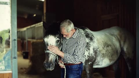 A senior man standing close to a horse in a stable, holding and stroking it. Slow motion