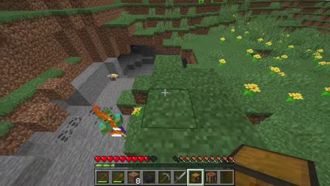 Day 1 Survival Minecraft