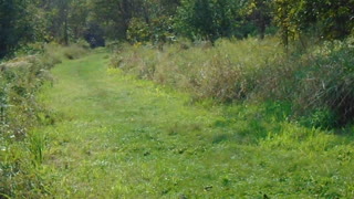 Home Movie Bald Eagle State Park