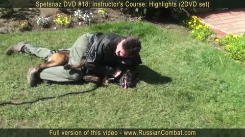 Learn how to Defend Yourself Against Dog Attack