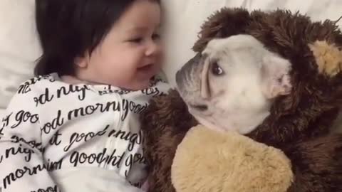 So funny! when your baby stay with the dog