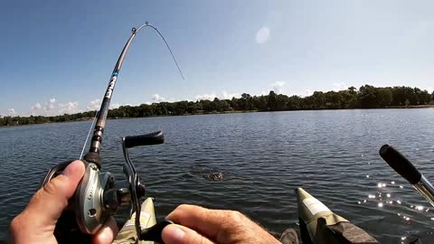 Largemouth bass fishing