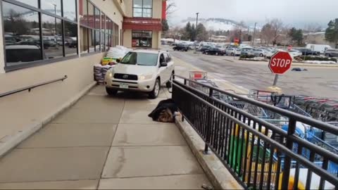 Active Shooter In Boulder, Colorado KING SOOPERS