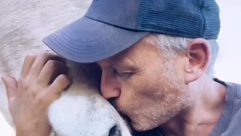 lovely dogs and gratitude from animals #john cena