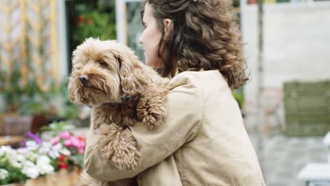 Woman Walking On The Street With Her Dog