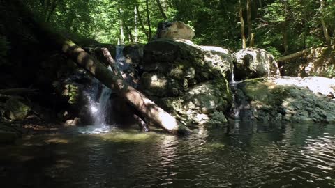 Forest waterfall | Relaxing