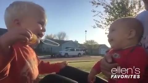 Funny babies and dog