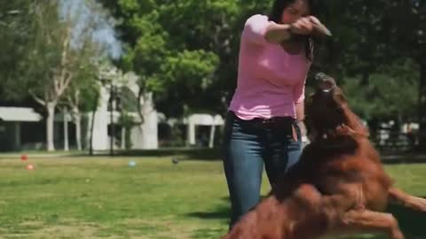 Women Playing with dog traning/ Dog funny video