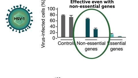 Using crispr to combat viral infection