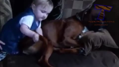 see in this video the happiness children feel with dogs