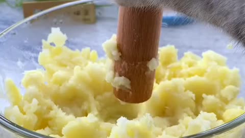 Cat prepared snack for its owner with great affection