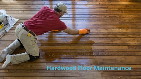 Leo's Holland Hardwood Floor Maintenance in Woodland Hills, CA