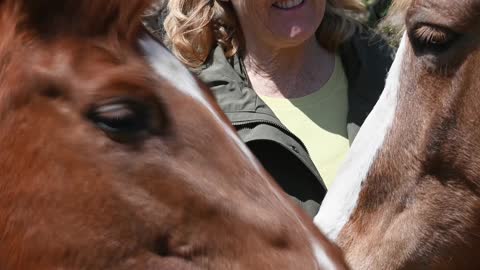 woman-standing-in-front-of-horses