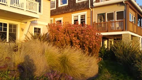 Warm winter day at Benicia