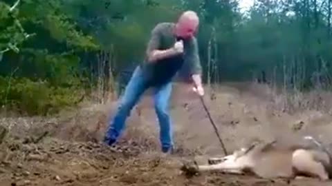 Man helps to save wolf from trap