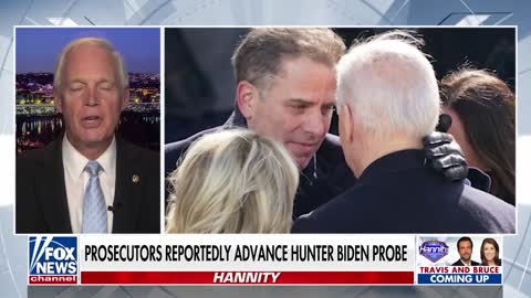 GOP senator claims it was 'obvious' Hunter Biden's laptop was authentic