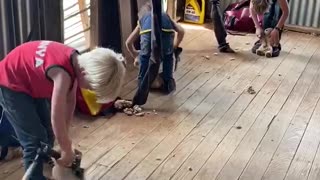 Kids Practicing Shearing