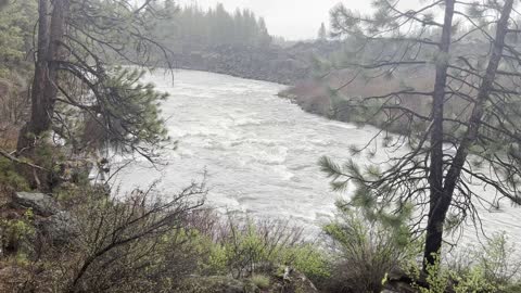 Gorgeous River Lava Rock Section in the Pouring Rain – Central Oregon – 4K