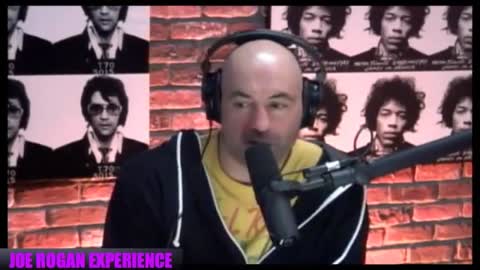 Joe Rogan Experience #582 - David Seaman