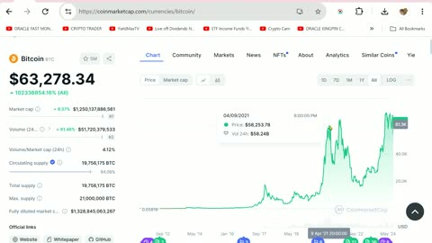 🔥Bitcoin’s Final Stand: The Bull Run That Will Shock the World!