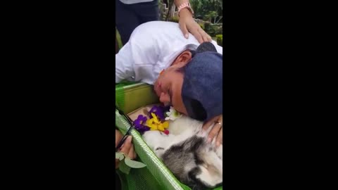 VIRAL @ OWNER CRYING TO THE DEATH OF HIS DOG