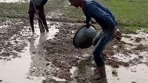 Indian farmer