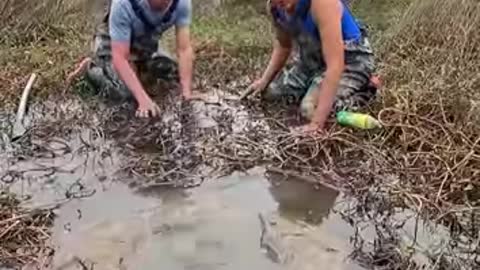 fish traping