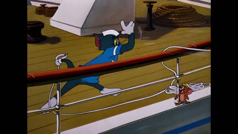 Tom & jerry Cartoon