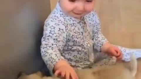 Toddler Meets His Puppies for the First Time cute baby viral video