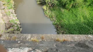 Merri Creek Coburg Melbourne Australia